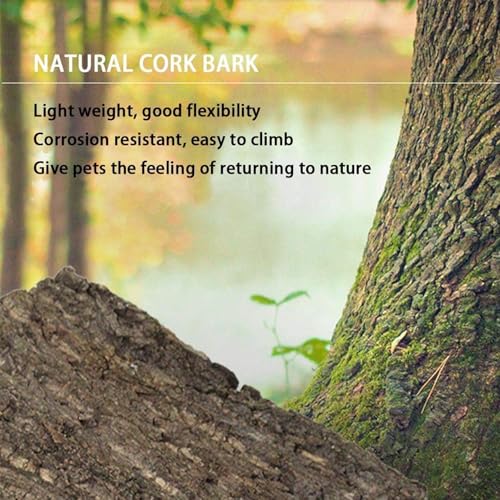 Hamiledyi 2PCS Cork Terrarium Background 15.7x11.8in Natural Cork Large Bark Backdrop Reptile Climbing Mat Habitat Decor for Spider Lizard Chamelon Turtle Beared Dragon - size: 2PCS-15.7x11.8in