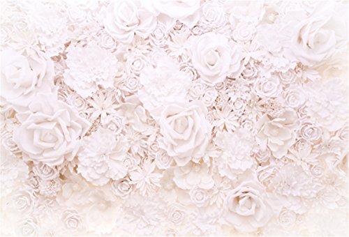 AOFOTO 8x6ft White Flowers Wall Backdrop Elegant Roses Romantic Wedding Decor Bridal Shower Photography Background Baby Girl Artistic Portrait Valentines Mother's Day Photoshoot Studio Props Wallpaper - size: 8x6ft