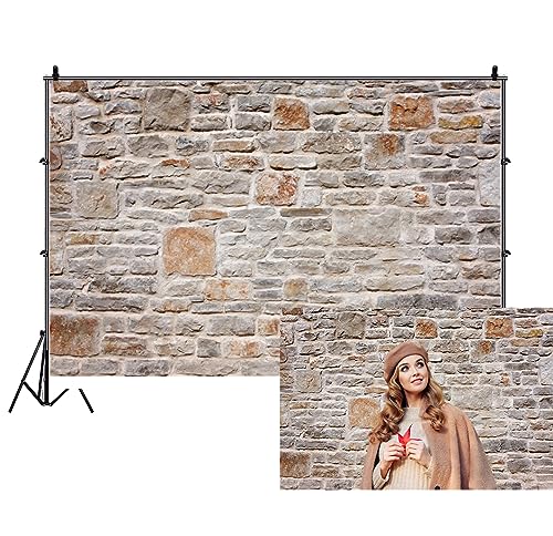 AOFOTO 8x6ft Stone Wall Backdrop Vintage Rock Stone Textured Photography Background Medieval Vineyard Old Castle Cobblestone Brick Wall Birthday Party Scene Setters Decoration Photo Booth Props - size: 8x6ft