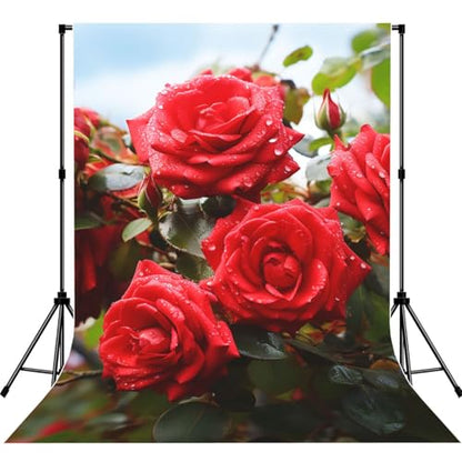 Red Roses Bush in The Garden Backdrop Background for Photography 5x7ft Photobooth Professional Photo Backdrop Curtains Video Photography Studio Photo Backgrounds Banner Booth Background Screen Parties - color: Red Roses Bush In The Garden