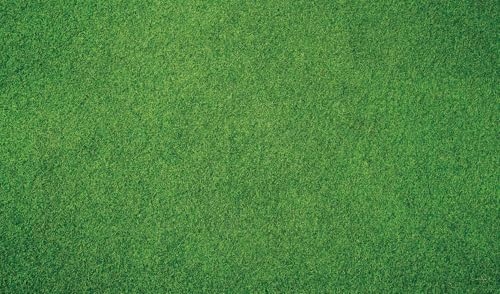 Kate Photography Floor Mats Green Grassland Floor Backdrop Wall Rubber Mat Newborn Photography Props for Professional Photo Shoot Studio 8x5ft - color: Green Grass, size: 8x5ft