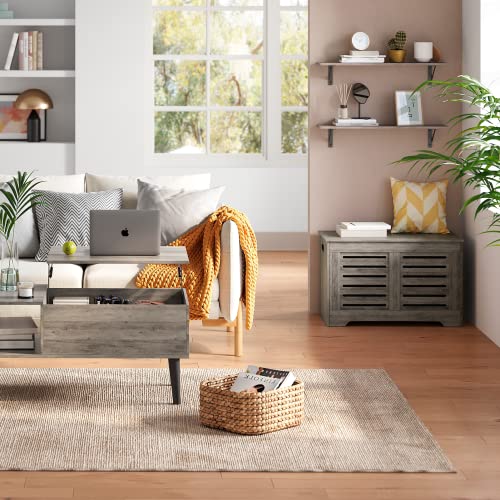 DINZI LVJ Long Shelf, 31.5 Inch Large Wall Mounted Shelves Set of 2, Easy-to-Install, Display Ledges with Sturdy Metal Brackets for Living Room, Bathroom, Bedroom, Kitchen, Laundry Room, Gray Wash - color: Grey Wash, size: 31.5 Inch