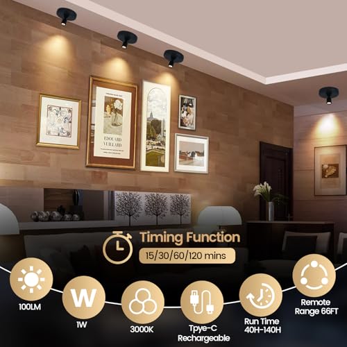 HAMVIDNE LED Spotlights, Rechargeable Battery Picture Lights, Uplighting Indoor, Spot Light with Remote, Plant & Wall Art Display Dartboard Closet Spotlight-Black - color: Chargeable Black, size: 2 Pack