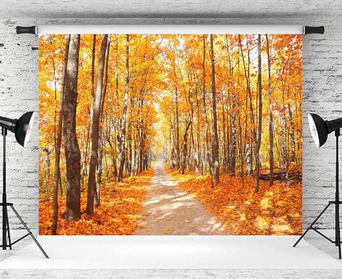 5x3ft Fall Backdrop Autumn Scenery Photography Background Mountain Road Tree Yellow Fall Leaves Natural Landscape Decorations Portraits Supplies Wallpaper Photo Studio Props - color: Yellow, size: 5x3ft