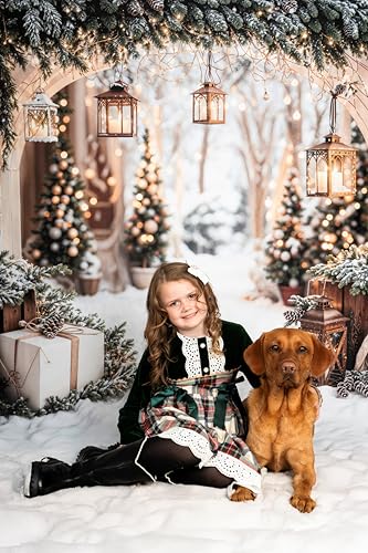 Kate 7x5ft/2.2x1.5m Christmas Backdrop for Photography Arch Snowy Tree Outdoor Photoshoot Background Winter Photo Video Studio Props