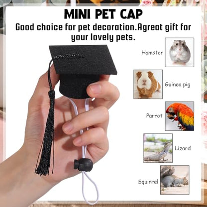 Eccliy 2 Pcs Pet Graduation Caps Mini Bachelor Hats with Tassel for Small Animal Guinea Pigs Hedgehog Bird Turtles Hamster Photo Props Graduation Holiday Festival Party Accessory(Black) - color: Black
