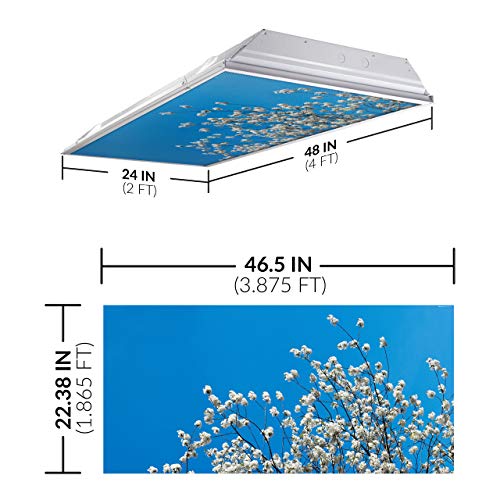 Fluorescent Light Cover for Classroom Ceiling Lights - Premium Backlit Film Insert 2x4 (22.38"x46.5") Florescent Fixture (Pack of 1) School, Office, Sensory, Improve Focus, Eliminate Headaches - Tree - color: Flowering Dogwood Tree, size: 1pk