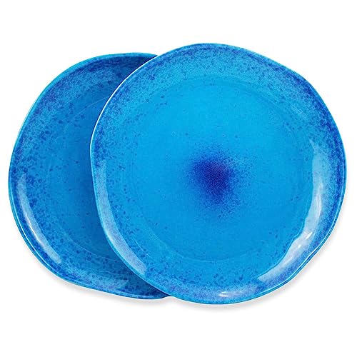 roro Ceramic Stoneware Handmade Blue Speckled Spotted Dinner Plates Set of x 2, Coral Beach Motif - color: Coral Beach Blue, size: 2 Count (Pack of 1)