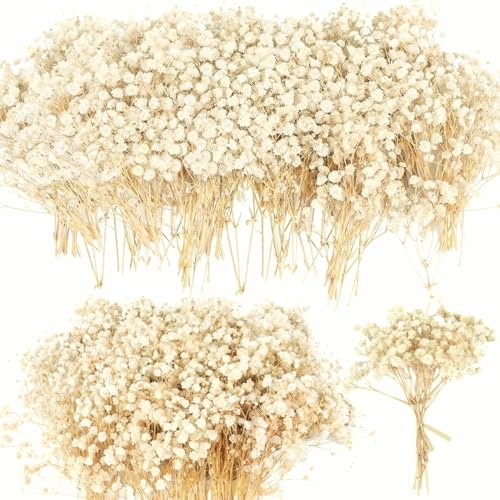 4700+ Mini Dried Babys Breath Flowers, 90+Pcs Ivory White Baby Breath Flower Bulk, Dried Flowers for Crafts, Wedding Decor Boho Invitation, Resin Candle Making, Dry Babies Flowers, Rustic Gypsophila