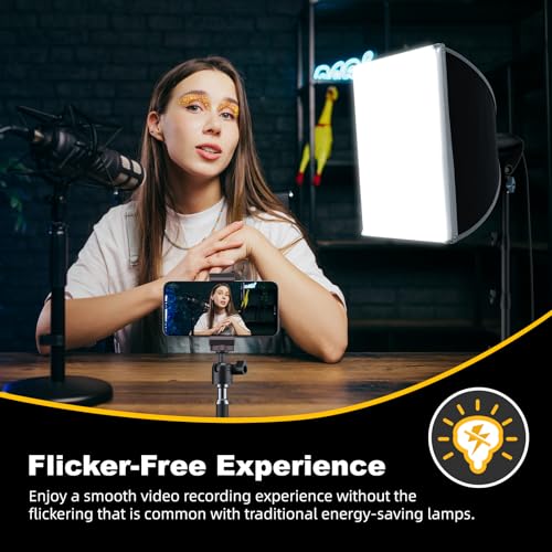 LINCO Lincostore Softbox Photography Lighting Kit with Professional 85W LED Bulbs, Studio Lights for Photography/Video Recording/Live Streaming (16'' x 16'' Professional Softbox Lighting Kit) - size: 16'' x 16'' Softbox Lighting Kit