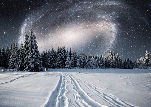 BELECO 10x6.5ft Fabric Winter Snowy Forest Night Photography Backdrop Galaxy Sky Stars White Snow Trees Wintry Scene Background for Christmas New Year Party Decorations Holiday Outdoor Photo Props - size: 10x6.5FT