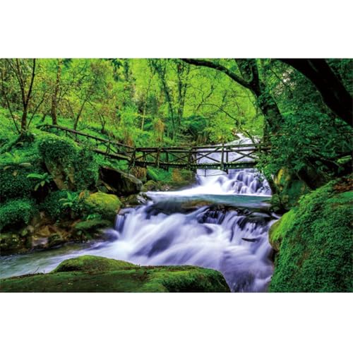 YongFoto Jungle Flowing Stream Forest Waterfall Backdrop 6x4ft Tropical Rainforest River Rock Moss Spring Nature Scenery Photography Background Party Banner Room Decor Portrait Photoshoot Wallpaper - color: Style 2, size: 6ftx4ft