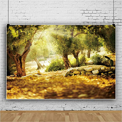 Leyiyi 15x10ft Natural Scenery Backdrop Olive Trees Sunshine Wonderland Dreamy Haze Blurred Background Stone Natural Forest Landscape Video Photo Studio Prop - size: 15x10ft-Vinyl