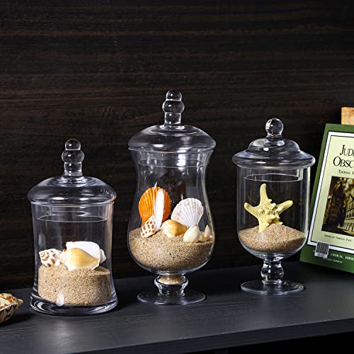 MyGift Clear Glass Apothecary Jars with Lid, Decorative Footed Vase, Candy Buffet Containers, Set of 3 - color: Clear Glass