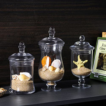 MyGift Clear Glass Apothecary Jars with Lid, Decorative Footed Vase, Candy Buffet Containers, Set of 3 - color: Clear Glass