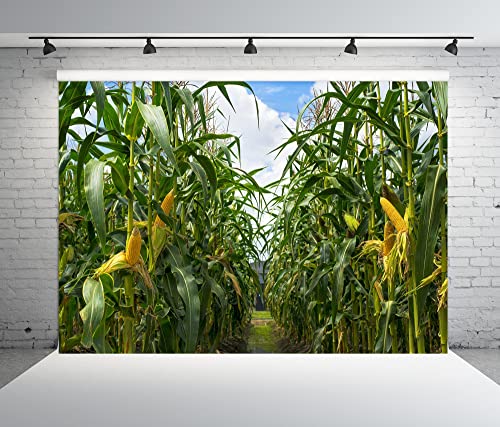 BELECO 7x5ft Green Cornfield Backdrop Fabric Rural Corn Fields Maize Photography Background Farmland Crops Fall Harvest Theme Party Decor Backdrop Coutryside Farm Agriculture Scenery Photo Props - size: 7x5FT