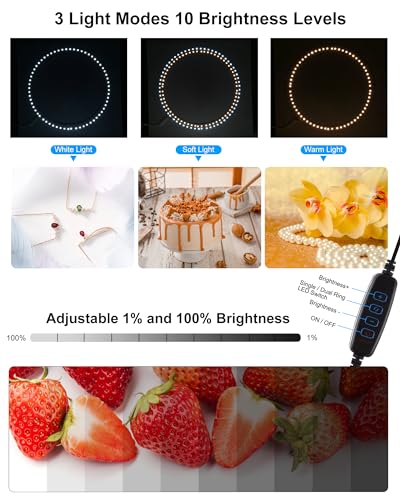 PULUZ Light Box Photography, 20x20 inch Large Photo Light Box with 200 LED Beads, CRI >95, Professional Portable Photo Booth Shooting Tent Kit with 12 Color Backdrops for Product Photography