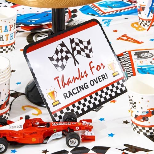 WERNNSAI Race Car Birthday Party Decorations - 10PCS Funny Car Party Signs Decorations for Boys Kids Racing Birthday Supplies Racing Cars Route 66 Sign for Birthday Anniversary Home Yard Wall Decor - style: Race Car
