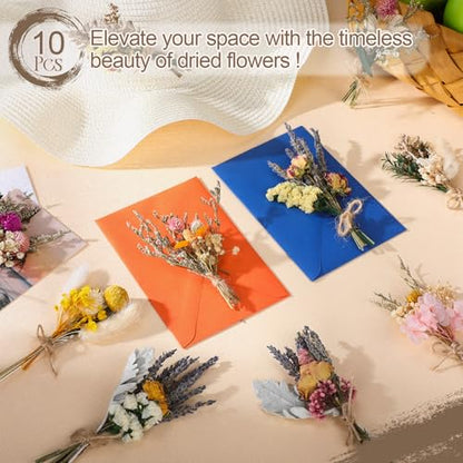 Nuanchu 10 Pcs Mini Dried Flower Bouquet Mixed Natural Dried Flowers with Stem Boho Plant Stem Bunch for DIY Craft Card Home Party Photo Props Wedding Decor, 5 to 6 inches(Popular Styles) - style: Popular Styles