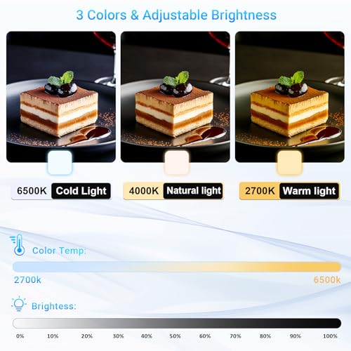 Overhead Phone Mount with Rechargeable Light for iPhone, Desk Tripod with Clamp for Content Creator Camera Recording, Top Down Holder Stand for Filming/Live/Cooking/Unboxing/Drawing/YouTube/TikTok