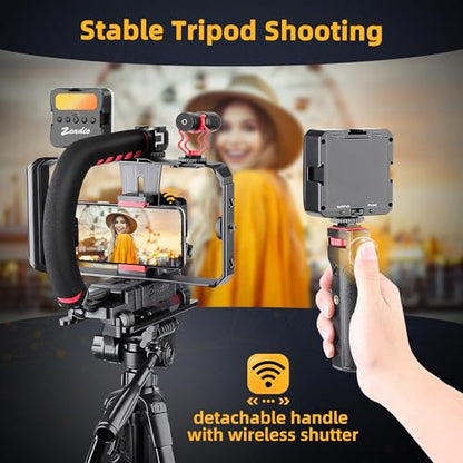 Zeadio All-in-One Smartphone Camera Stabilizer Kit, Portable Handheld Video Rig with RGB Video Light and Microphone, Fits for All Camcorder, Camera, DSLR and All iPhone and Android Smartphones - style: Pro Kit