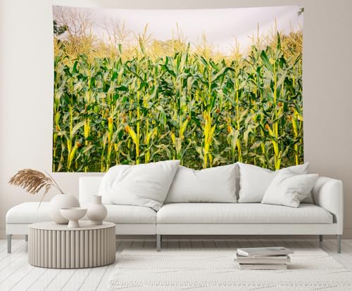15x10ft Cornfield Backdrop Autumn Green Corn Field Stalks Countryside Corn Farm Harvest Fall Scenery Background Fall Harvest Party Decor Photo Booth Studios Props Wallpaper - size: 15x10FT