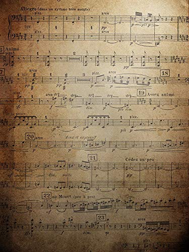 AOFOTO 3x5ft Vintage Music Notes Photography Studio Background Classical Music Score Retro Photo Shoot Backdrop Old Grunge Individual Show Wallpaper Child Boy Girl Artistic Portrait Video Props - size: 3x5ft