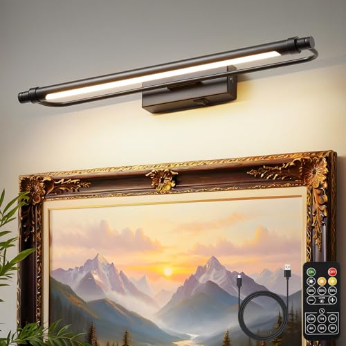 ZitoStory 20'' Picture Lights for Wall, Battery Operated LED Art Light, Adjustable Brightness Wall Mounted Light for Paintings, Photos, Posters & Artwork Display - color: Black & 20 Inch