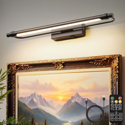 ZitoStory Battery Operated Picture Light for Wall with Remote,Dimmable Rechargeable LED Picture Lights Black Frame Wall Art Lamp for Bedroom, Living Room, Gallery 16 Inches - color: Black & 16 Inch