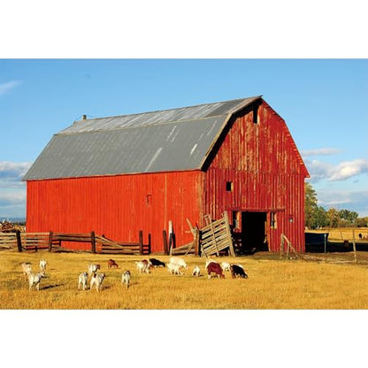 10x6.5ft Western Farm Backdrop Photography Farmland Barn Animal Yard Photography Background for Farm Birthday Decors Western Cowboy Theme Party Supplies Thanksgiving Day Decorations Studio - size: 10x6.5ft