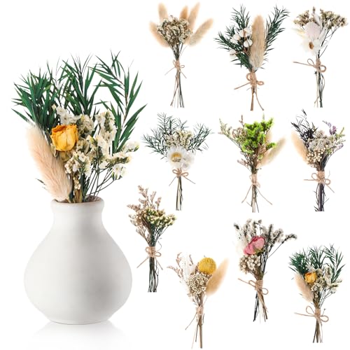 Nuanchu 10 Pcs Mini Dried Flower Bouquet Mixed Natural Dried Flowers with Stem Boho Plant Stem Bunch for DIY Craft Card Home Party Photo Props Wedding Decor, 5 to 6 inches(Boho Styles) - style: Boho Styles
