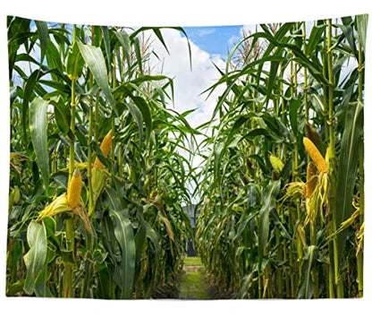 BELECO 10x6.5ft Green Cornfield Backdrop Fabric Rural Corn Fields Maize Photography Background Farmland Crops Fall Harvest Theme Party Decor Backdrop Coutryside Farm Agriculture Scenery Photo Props - size: 10x6.5FT