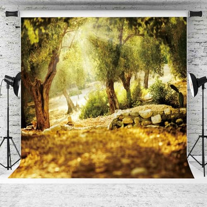 Leyiyi 10x10ft Natural Scenery Backdrop Olive Trees Sunshine Wonderland Dreamy Haze Blurred Background Stone Natural Forest Landscape Video Photo Studio Prop - size: 10x10ft