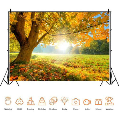 Yeele 8x6ft Autumn Forest Scenery Backdrop Wild Maple Tree Deciduous Grassland Photography Background Fall Nature Landscape Vinyl Wallpaper Portrait Photo Shoot Props - size: 8x6ft