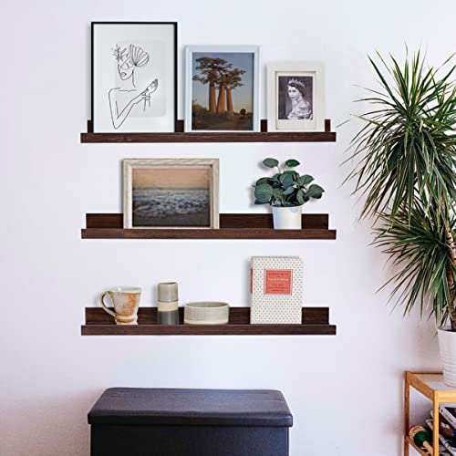 MBYD Floating Shelves 3 Same Dimensions, 24 Inch Deep Walnut Solid Wooden Shelves for Wall, Wall Mount Picture Ledge Wall Shelf for Home, Kitchen, Office, Living Room - color: Deep Walnut, size: Set of 3 24 in