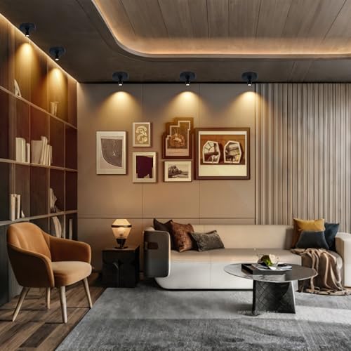 Cordless Spotlight Battery Powered, Indoor Plant Spot Light, Rechargeable Picture Lights with Remote, LED Accent Lighting, Dimmable Display Uplight for Tree Dartboard Decor Painting Art Photo - color: chargeable Black