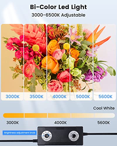 24"x24" Photo Studio Light Box for Photography, Foldable Bi-Color Dimmable Shooting Tent Kit with 240 LED Lights, 3000-6500K Lighting Booth, 6 Color Backdrops - color: Black-24inch Studio Box