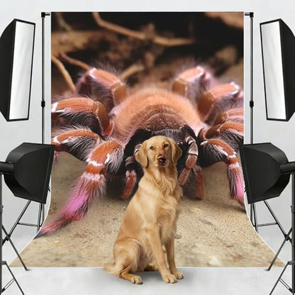 Large Mexican Pink Tarantula Backdrop Background for Photography 5x7ft Photobooth Professional Photo Backdrop Curtains Video Photography Studio Photo Backgrounds Banner Booth Background Screen Parties - color: Large Mexican Pink Tarantula