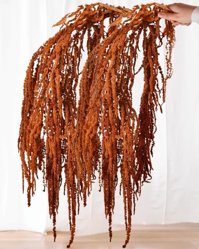 10Pcs Brown Preserved Hanging Amaranthus Flowers - 23" Cascading Dried Flower Tassels for Boho Wedding Arch, Vase Arrangements, Backdrop Installations & Home Decor