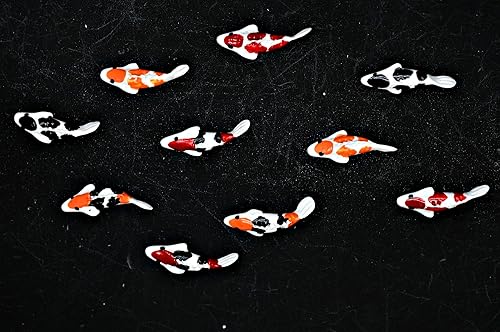 Mini Koi Fish Figurines Garden 10 Mix Colorful Koi Fish Animal Figurine Garden Display Minimal Decoration