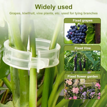 Secured Plastic Plant Clip, 2024 Upgraded Plant Support Clips Reusable Garden Clips 50Pcs, Plant Support Clips Garden Climbing Vines Fixing Clip Trellis Clips Climbing Tomato Clips (50, Black) - color: Black