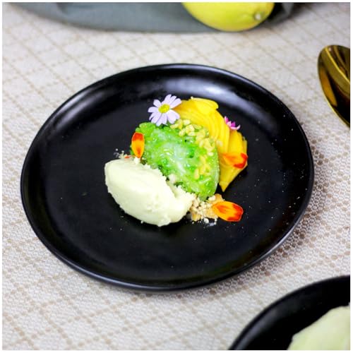 RoRo 7" Hand Made Ceramic Appetizer Plates – Matte Black Stoneware, Set of 2 Modern Minimalist Design, Perfect for Tapas, Sushi, Bruschetta, Microwave, Oven & Dishwasher Safe - size: 7 inches