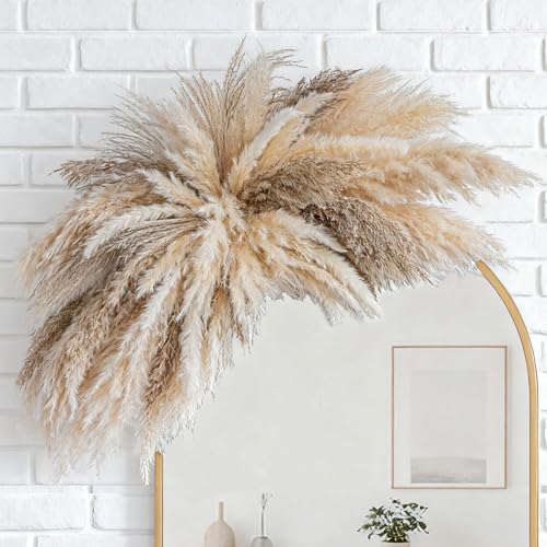 Fluffy Boho Wall Decor - DIY Pampas Grass Kits,Need to Assemble,Decorative Pampas Cloud,Mirror Decorative,for Entryway Bedroom Living Room Bathroom House Warming Gifts New Home Essential - size: X-Large