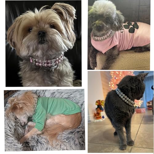 Black Pearl Dog Collar,Fancy Crystal Bling Dog Collars for Medium Dogs,Rhinestone Pearl Necklace for Dogs for XXS Xs Small Medium Female Dogs Cat Pet,M - color: Black, size: M Neck 11-13''(Tag L)