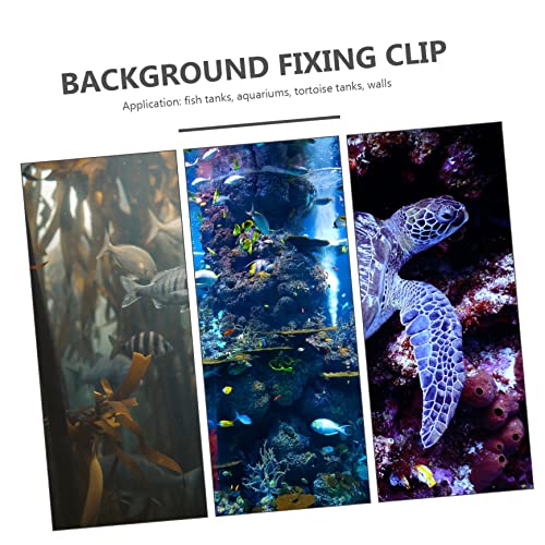 BESPORTBLE 2pcs Acrylic Clips for Fish Tank Backdrop Aquarium Background Fixing Clamp Siphon Design for Easy Installation and Durability