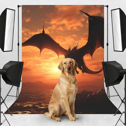 Sea Sunset Flying Dragon Backdrop Background for Photography 5x7ft Photobooth Professional Photo Backdrop Curtains Video Photography Studio Photo Backgrounds Banner Booth Background Screen Parties - color: Sea Sunset Flying Dragon