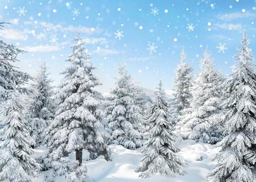 Mocsicka Winter Scene Backdrop Winter Wonderland Snowflake Photography Background White Snow Forest Christmas Winter Holiday Party Ddecorations Photo Studio Props(10x7ft (120x82 inch)) - size: 10x7ft (120x82 inch)