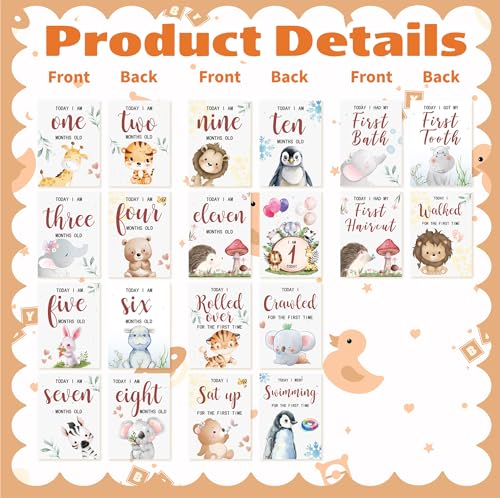 Baby Milestone Cards, 10pcs Double Sided Newborn Photo Prop, First Words, Haircut & More, First Year Monthly Milestone Cards, Jungle Safari Pregnancy Announcement Ideas Decor Supplies(04) - style: Jungle Safari