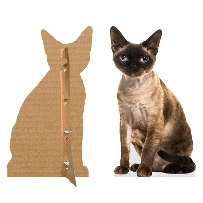 CAT - Devon REX - Life Size Cardboard Cutout Standup People with Support Standee | Animals - - color: Cat - Devon Rex
