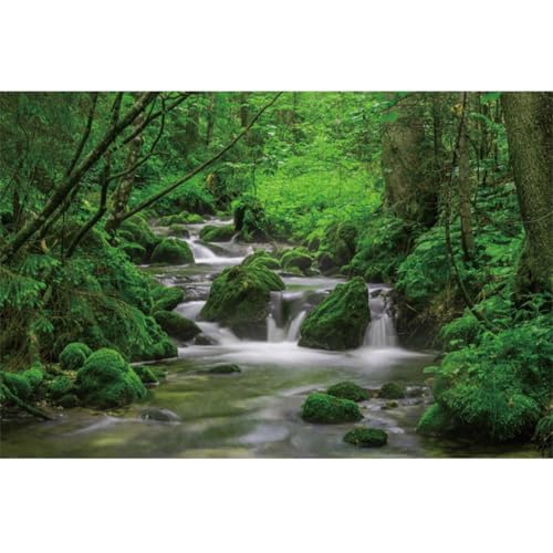 YongFoto Jungle Flowing Stream Forest Waterfall Backdrop 6x4ft Tropical Rainforest River Rock Moss Spring Nature Scenery Photography Background Party Banner Room Decor Portrait Photoshoot Wallpaper - color: Style 1, size: 6ftx4ft